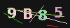 Gambar captcha